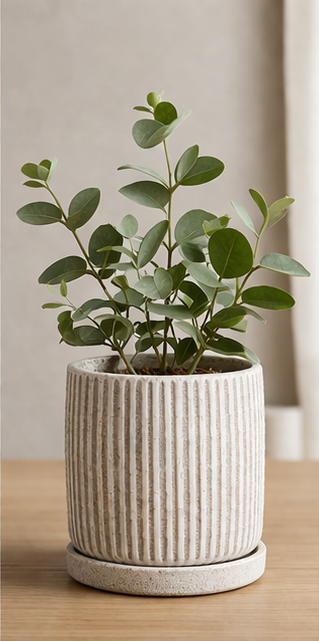 natural home decor inspiration display (2) copy